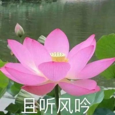 【境内疫情观察】广东四市新增6例本土病例（6月18日）